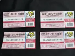 くじゅう森林公園スキー場　8時間券大人２枚子供２枚　九重スキー場