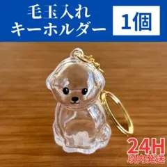 Item thumbnail for item f2db2145-164d-464c-b093-d5e6c9aff0c2