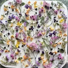 No,136 特小小花ミックス　ドライフラワー花材