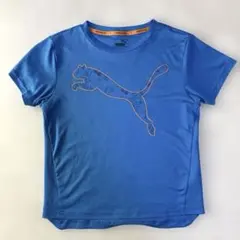 PUMA プーマ　Tシャツ　スポーツDRYCELL 140