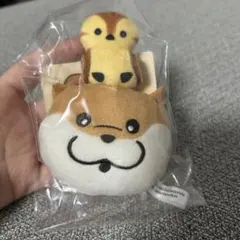 【9種セット】可愛い嘘のカワウソ　マグネット入りマスコット　おまとめ　セット