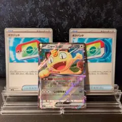 ニャースex　ポケパッド