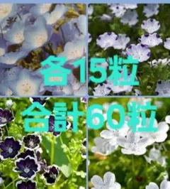 ベニオ様 リクエスト 2点 まとめ商品