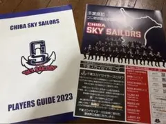 2026年最新】青野毅選手の人気アイテム - メルカリ