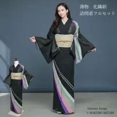 夏物　薄物　絽　化繊　訪問着　フルセット　4点　マ3-9