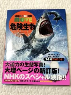 Item thumbnail for item ed4ea2d6-d062-4097-9b59-b4de4f011bcf