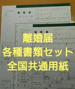 離婚届2部【お子様有り・無し共通】各種セット 離婚後のチェックシート付きa46のサムネイル