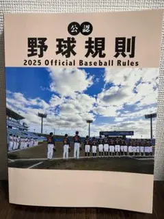 2025年公式野球規則