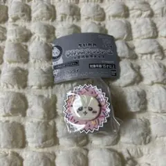 ちいかわ　手作りおやつチャーム#平成女児チョコ　ラッコ②