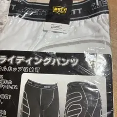 Item thumbnail for item 488cd508-2235-490c-b1c7-7c08a4d02a0f