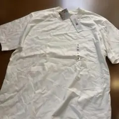オーガニックコットン XL ホワイト Tシャツ