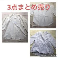 Item thumbnail for item 6e9857c3-9f73-4c96-8697-a0101378d69b