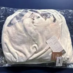 Item thumbnail for item 601ac5b8-804d-47c0-ae07-f7d78fd30b33