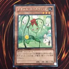 ナチュル　ローズ　ウィップ　傷あり　3枚セット 2026年最新】ナチュルローズウィップの人気アイテム - メルカリ