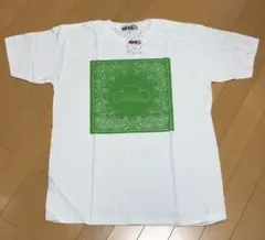 Item thumbnail for item 8cd66810-62c4-4607-af5a-569f00bf5632