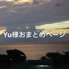 Yu様 リクエスト 3点 まとめ商品