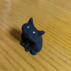 黒猫ちゃん