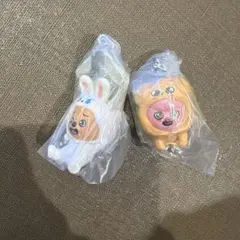 StrayKids SKZOO つまんでつなげてますこっと ガチャ