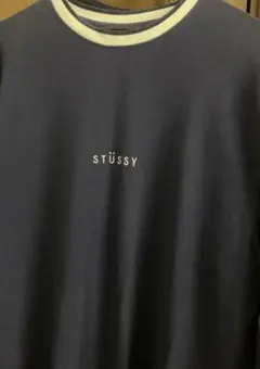 stussy ステューシー　鹿子　ロンTのサムネイル