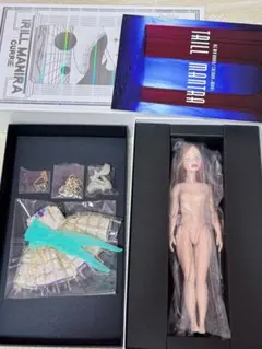 チェリーちゃん ドリス 本体のみ美品 オダニミユキ - メルカリ