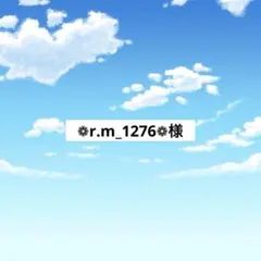 ❁r.アメステ　m_1276❁様
