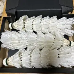 Item thumbnail for item 38fdcb47-f797-41ed-aa81-c3c17e96def0