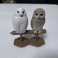 Item thumbnail for item 57b9f6aa-8df9-40b5-82bf-dd9064699d16