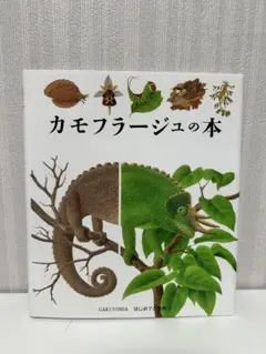 TEZU06様 リクエスト 4点 まとめ商品