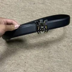アミリロゴベルト