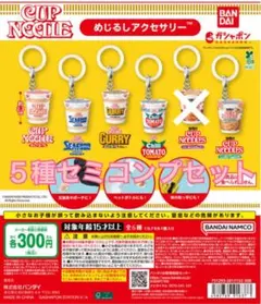 日清カップヌードル めじるしアクセサリー　ガチャ【5種セット】
