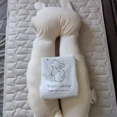 Eve×Sou ツーマン 蒼 寝そべりもちもち ぬいぐるみ ビーズクッション