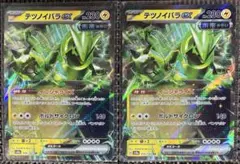 ポケモンカード　テラスタルフェス　テツノイバラex RR　2枚　sv8a
