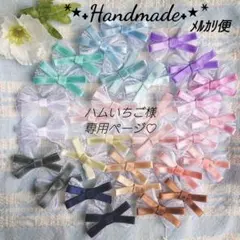No.3648 ハムいちご様専用ページ リボンモチーフ♡リボン⋈⋆︎*