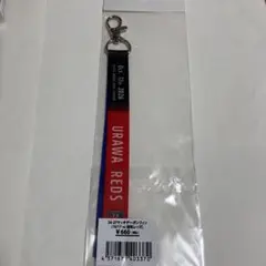 Jリーグ★水戸ホーリーホックVS浦和レッズ★マッチデーボンフィン