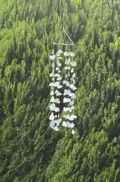 Item thumbnail for item ac0e8480-eb43-4ace-bdcd-b696746291cd