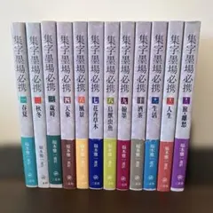 集字墨場必携 全15巻 全集揃 二玄社 定価21450円 集字墨場必携 全15巻 全集揃 二玄社 定価21450円 - メルカリ