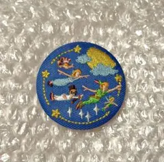 k*5様 ディズニー刺繍缶バッチ 【ピーターパン】