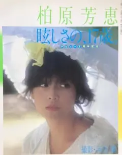 柏原芳恵 タレント写真集