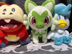 ポケモン　ポケモンセンター　ぬいぐるみ　ホゲータ　クワッス　ニャオハ　御三家