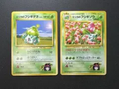 旧裏⭐︎エリカのフシギダネ　フシギソウ