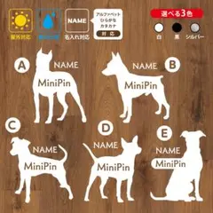 Item thumbnail for item 67a416ad-c0b1-41a2-9ce5-ba56c6e0f38b