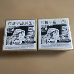 若狭宇宙鯖缶 SPACE MACKEREL CAN JAXA認証 2個のサムネイル