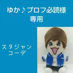 ゆか♪プロフ必読様専用ぬい服