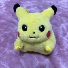 2026年最新】初期 ピカチュウ ぬいぐるみの人気アイテム - メルカリ
