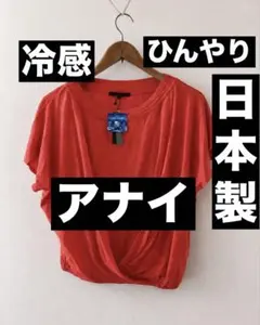 ひんやり★期間限定価格★ 接触冷感　ANAYI 日本製 ドルマンスリーブのサムネイル
