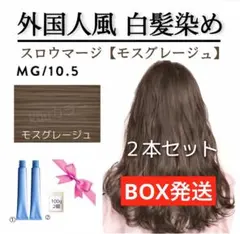 スロウMG複【ミルボンアディクシー プリミエンス ホワイトブリーチ剤同 