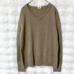 ズーティーシュセット Ｖネックニット セーター シンプル（Ｌ）春 レーヨン混