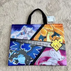 最新作⭐️ ポケモン レッスンバッグ　手提げ　絵本袋　入園　入学