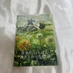 【即購入可】世界でいちばん透明な物語