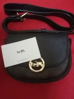 コーチ COACH ジェイド 2way ミニショルダーバッグ 極美品